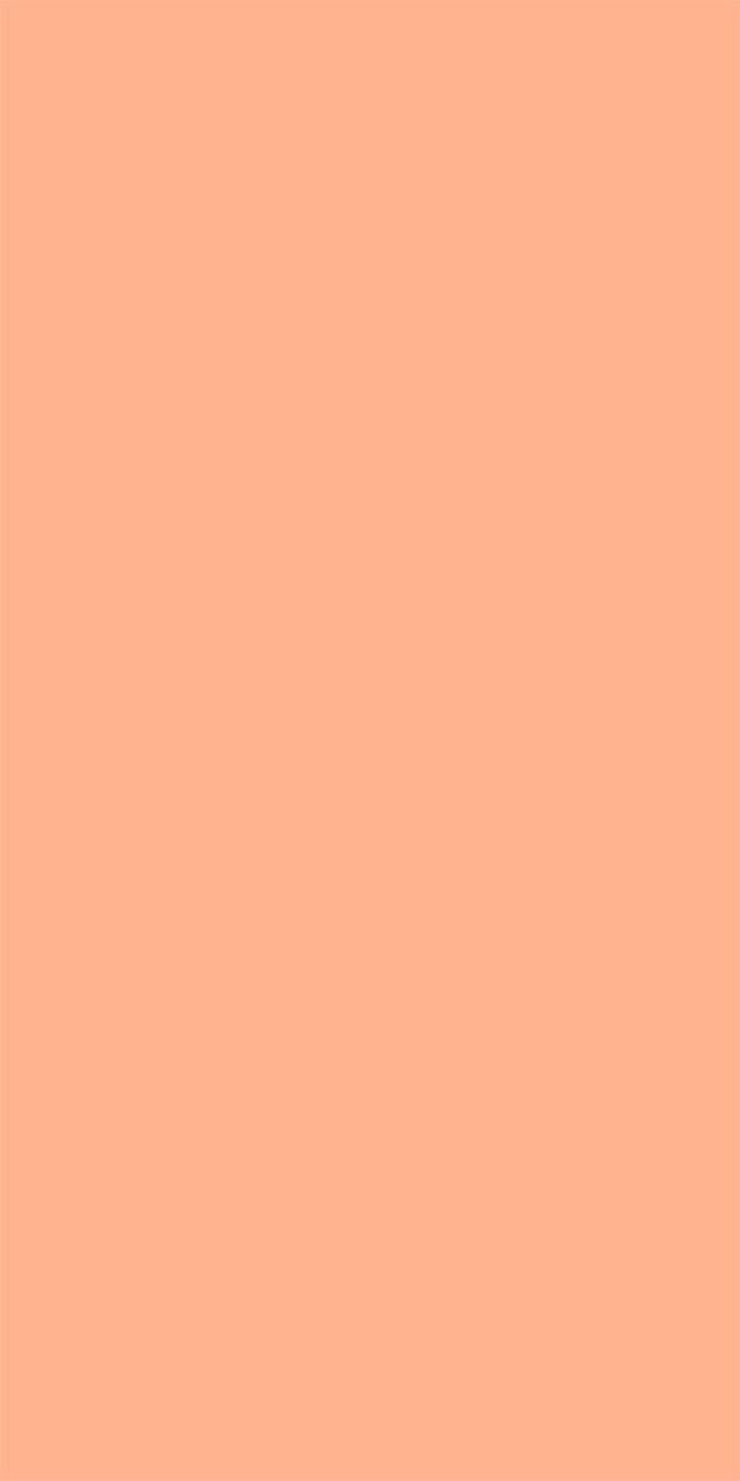 Silky Matte Vanilla